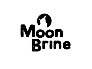 MOON BRINE logo