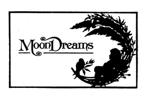 MOON DREAMS logo