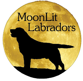 MOONLIT LABRADORS logo