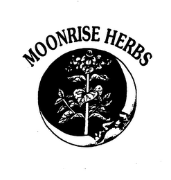 MOONRISE HERBS logo