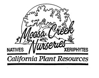 MOOSA CREEK NURSERIES NATIVES XERIPHYTES CALIFORNIA PLANT RESOURCES logo