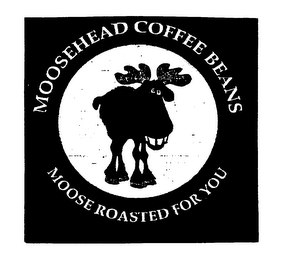 MOOSEHEAD COFFEE BEANS MOOSE ROASTED FOR YOU logo