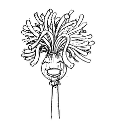 MOP HEADS SALON logo