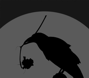 MORBID CURIOSITY MEDIA logo