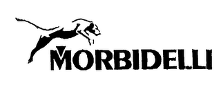 MORBIDELLI logo