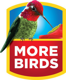 MORE BIRDS logo
