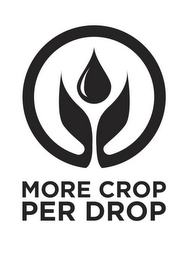 MORE CROP PER DROP logo