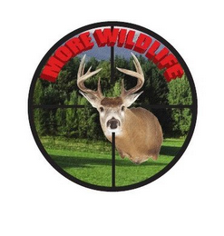 MORE WILDLIFE logo
