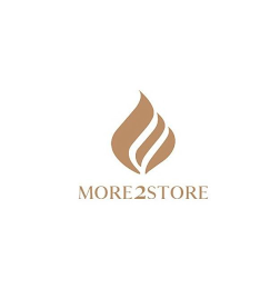 MORE2STORE logo