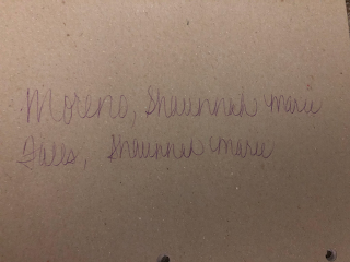 MORENO, SHAUNNAH MARIE FALLS, SHAUNNAH MARIE logo