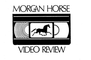 MORGAN HORSE VIDEO REVIEW logo