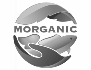MORGANIC logo