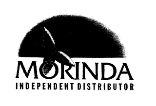 MORINDA INDEPENDENT DISTRIBUTOR logo