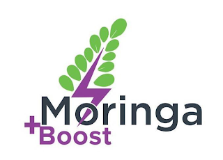 MORINGA BOOST logo