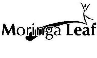 MORINGA LEAF logo