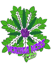 MORINGA MOSS +CBD logo