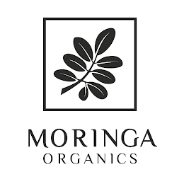 MORINGA ORGANICS logo
