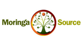 MORINGA SOURCE logo