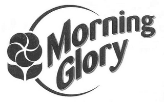 MORNING GLORY logo
