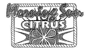 MORNING SUN CITRUS logo