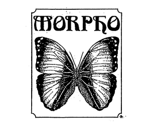 MORPHO logo