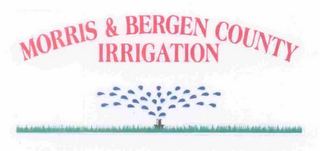 MORRIS & BERGEN COUNTY IRRIGATION logo