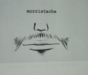 MORRISTACHE logo