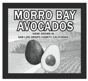 MORRO BAY AVOCADOS HAND GROWN IN SAN LUIS OBISPO COUNTY, CALIFORNIA logo