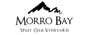 MORRO BAY SPLIT OAK VINEYARD logo