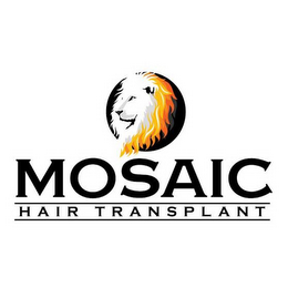MOSAIC HAIR TRANSPLANT logo