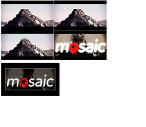 MOSAIC MOSAIC logo