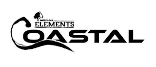 MOSSY OAK ELEMENTS COASTAL logo