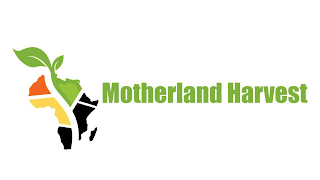 MOTHERLAND HARVEST logo