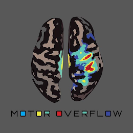MOTOR OVERFLOW logo
