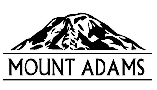 MOUNT ADAMS logo