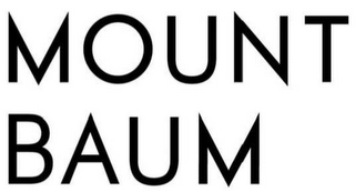 MOUNT BAUM logo