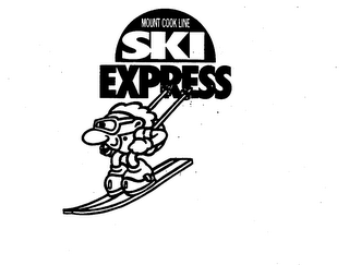 MOUNT COOK LINE SKI EXPRESS logo