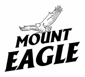 MOUNT EAGLE logo