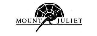 MOUNT JULIET logo