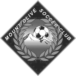 MOUNT OLIVE SOCCER CLUB logo