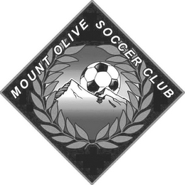 MOUNT OLIVE SOCCER CLUB logo