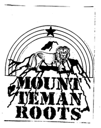 MOUNT TEMAN ROOTS logo