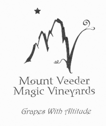 MOUNT VEEDER MAGIC VINEYARDS - GRAPES WITH ALTITUDE logo