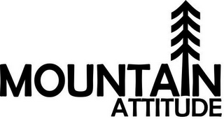 MOUNTAIN ATTITUDE logo