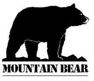 MOUNTAIN BEAR logo