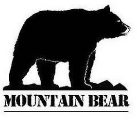 MOUNTAIN BEAR logo