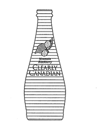 MOUNTAIN BLACKBERRY CLEARLY CANADIAN logo