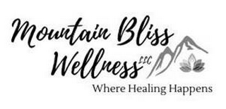 MOUNTAIN BLISS WELLNESS LLC WHERE HEALING HAPPENS logo
