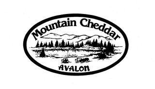 MOUNTAIN CHEDDAR AVALON logo