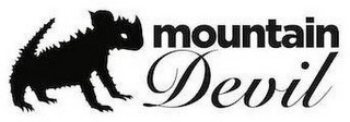 MOUNTAIN DEVIL logo